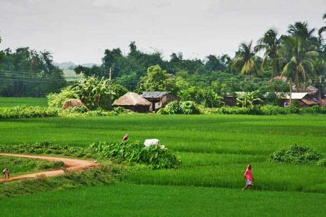 Barddhamān