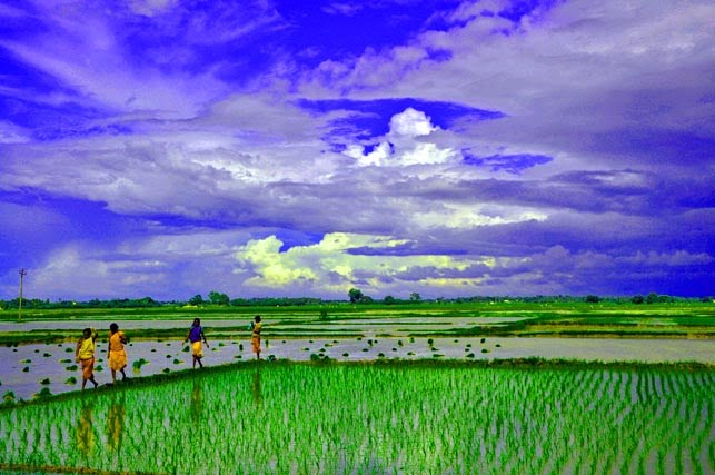 Bandutia village, galsi, burdwan