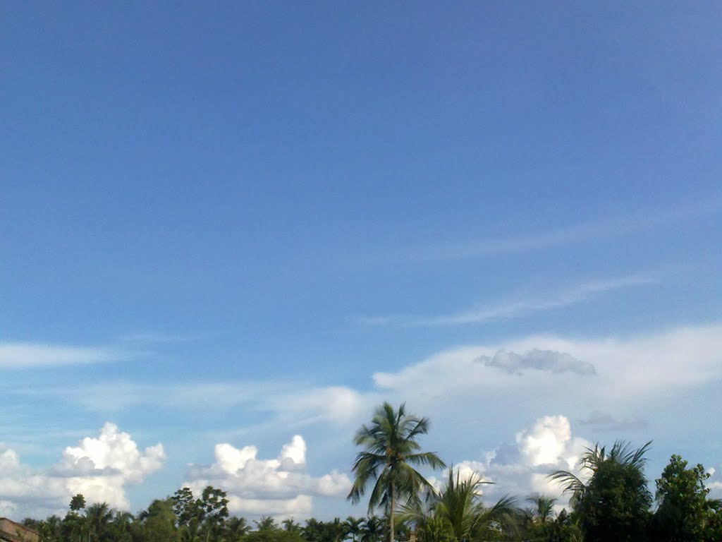 SKYLINE