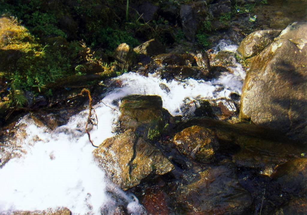 Darjeeling 12/2005