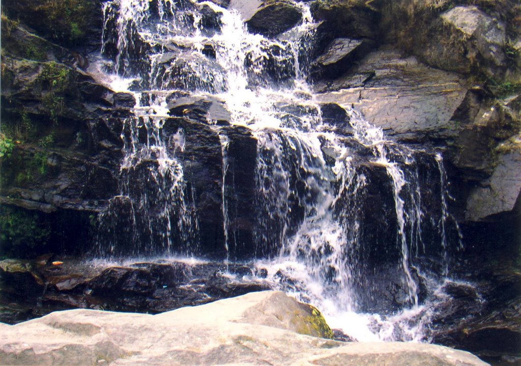 Water Fall,Darjeeling 12/2005