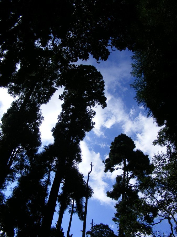 Lloyd Botanic garden