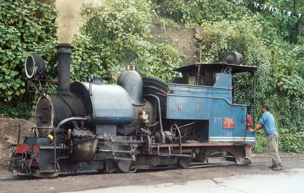 A class B saddle-tank steam locomotive, 786 AJAX, built by North British Locomotive Company of Glasgow (Scotland) in 1904. A sturdy centenarian therefore, and still in service