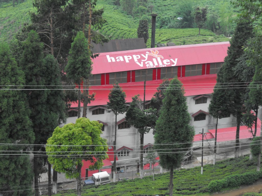 Happy Valley Tea Estate - Darjeeling