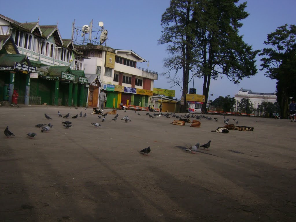 Darjeeling mall at morning