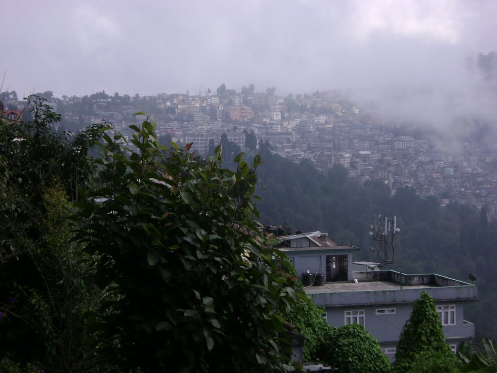 DARJEELING