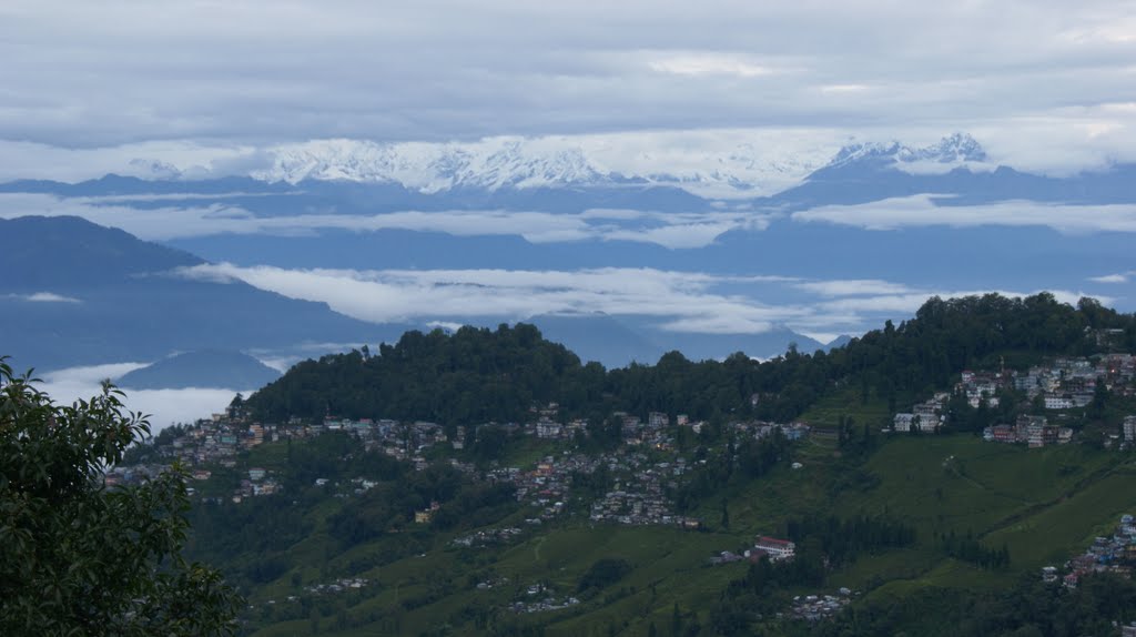 darjeeling