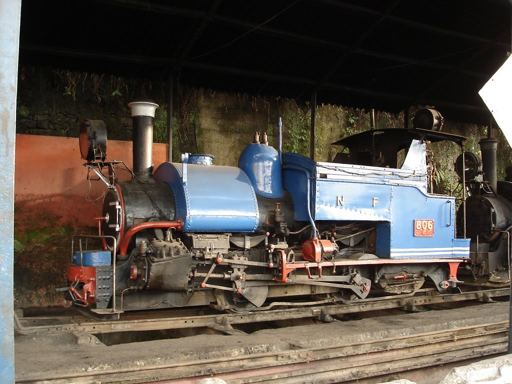 TOY TRAIN  DARJEELING