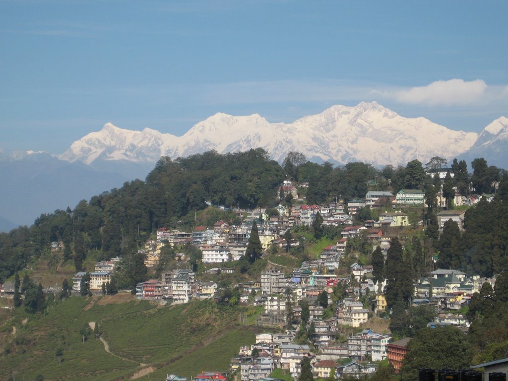 Cool Darjeeling Morning