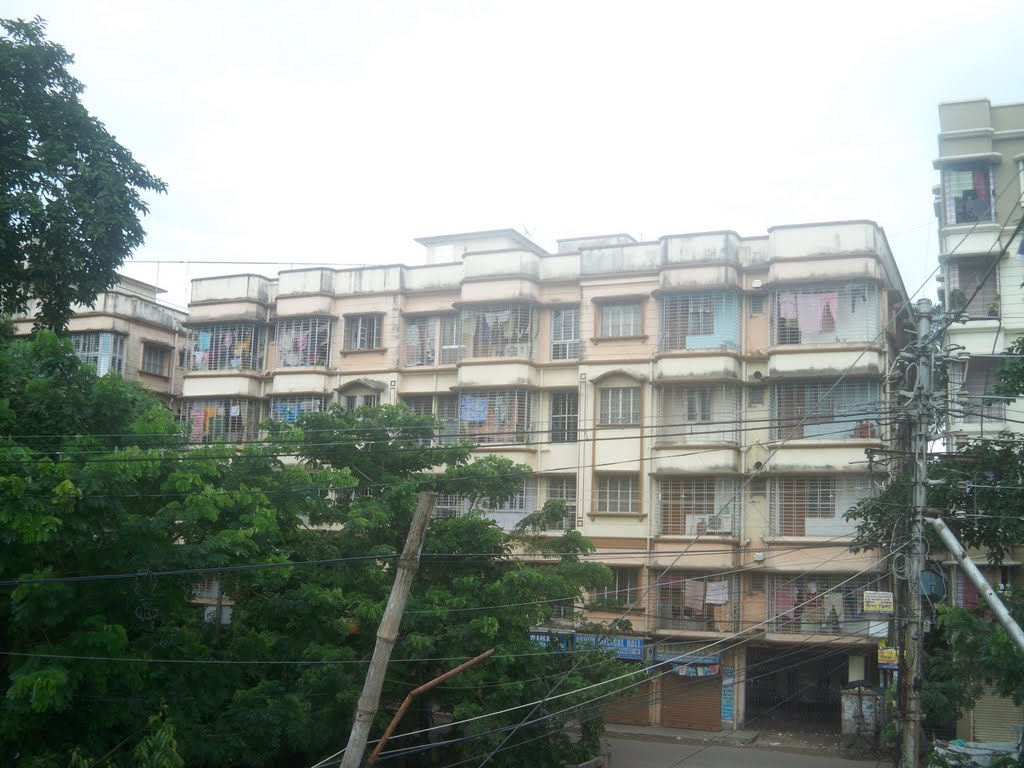 V.I.P garden