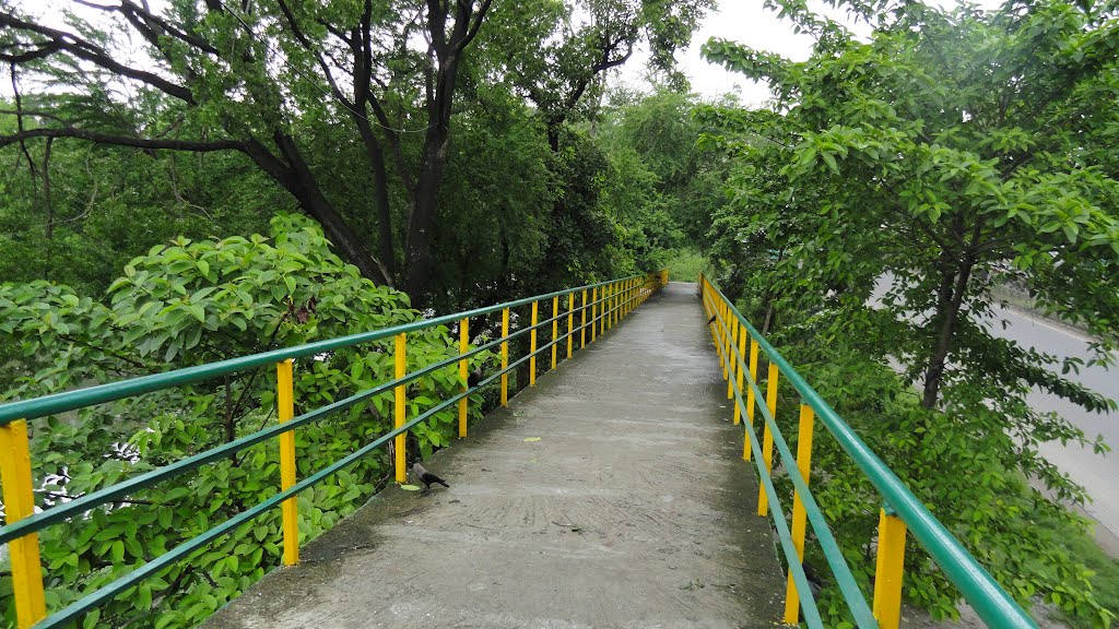 Foot Bridge, Lake Town,VIP, kOLKATA, INDIA