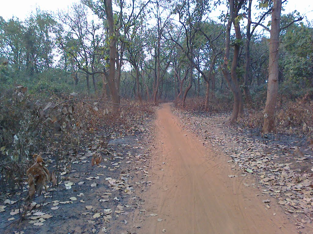 Forest Road Bidhannagar Side (Dibakar)