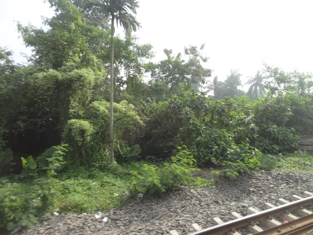 Belgharia to Agarpara