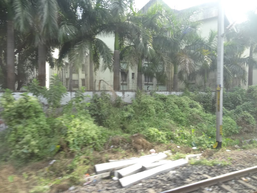 Belgharia to Agarpara