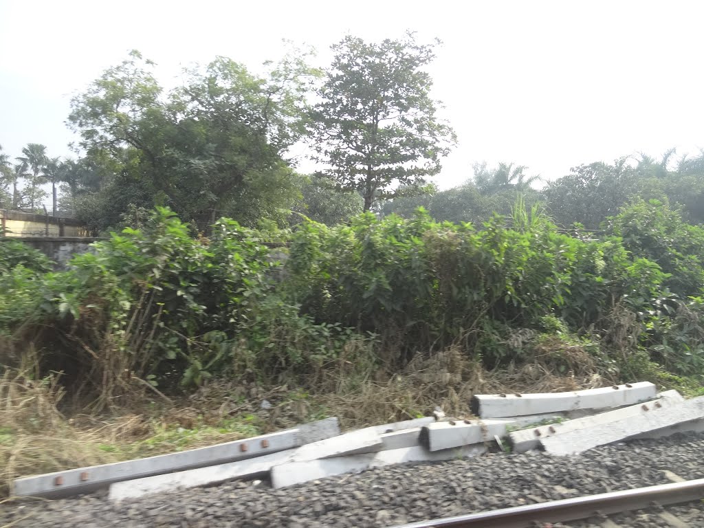 Belgharia to Agarpara