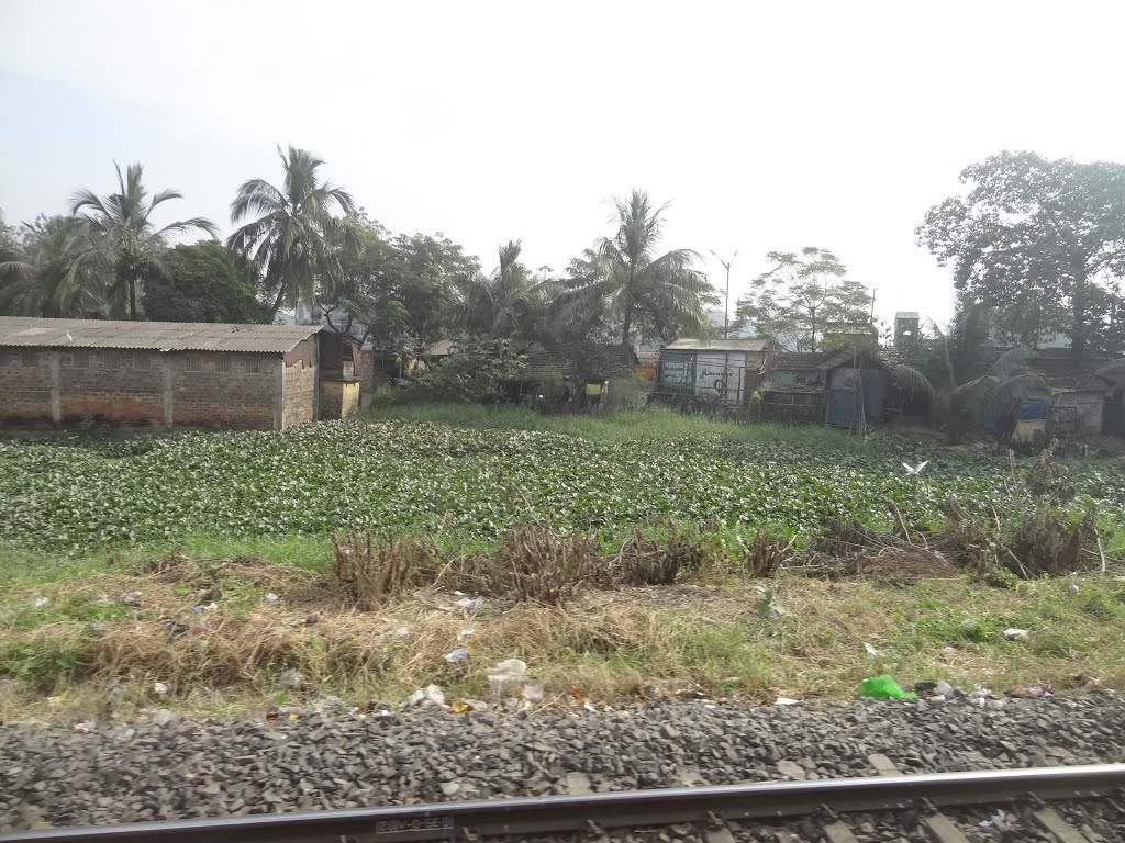 Agarpara, View from Train