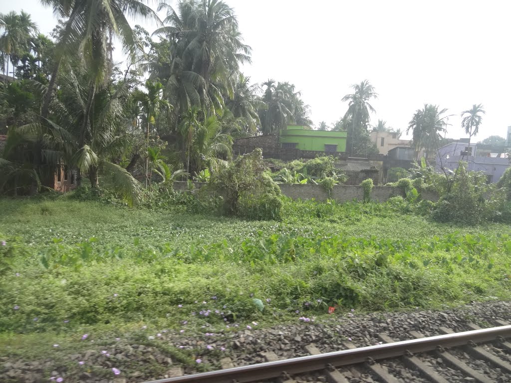Agarpara to Sodpur