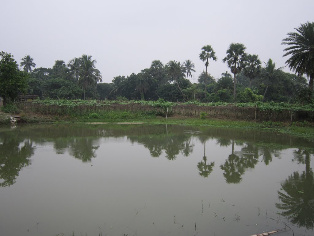 South 24 Parganas Village (W.B) 2012.