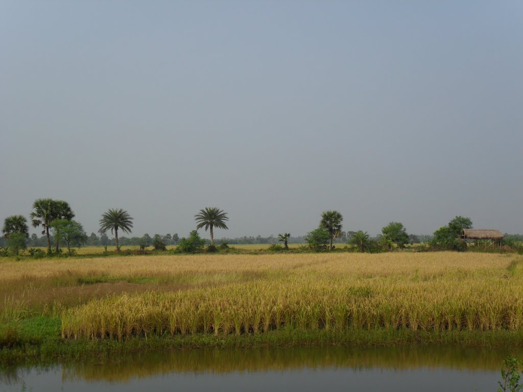 "GOLD FACTORY"... NEAR SARISA, WEST BENGAL