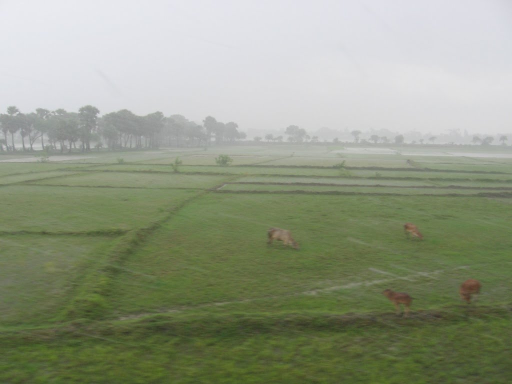 Downpour Blur