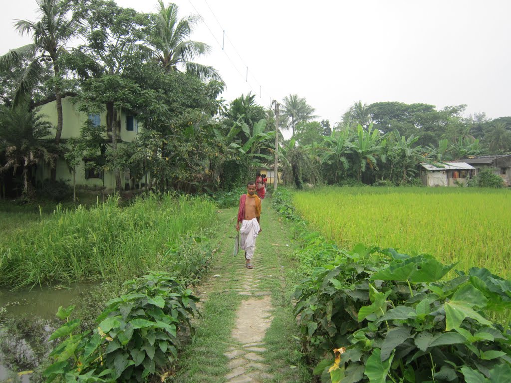 Village Way. December, 2012.