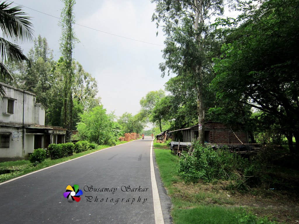 Usthi Netra Road, Netra, South 24 Parganas, W. B.
