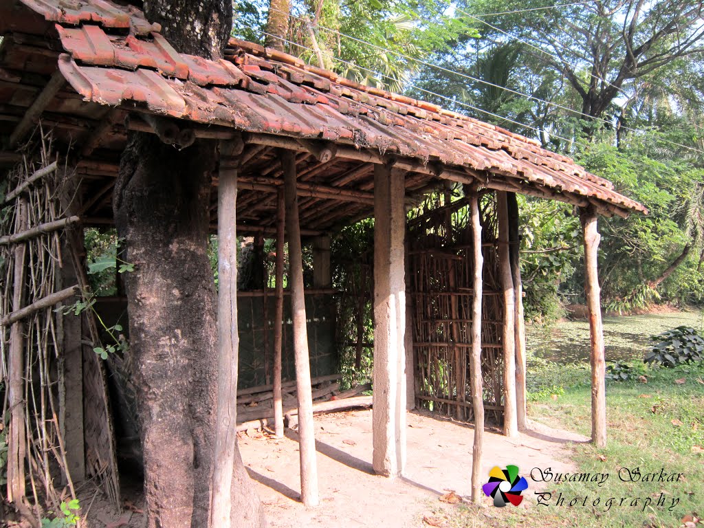 Village Picture, South 24 Parganas Usthi Road. Feb, 2013