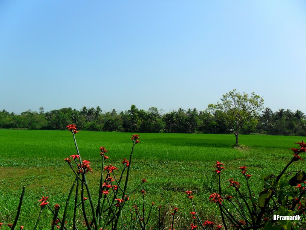 NEAR FALTA,,, WEST BENGAL