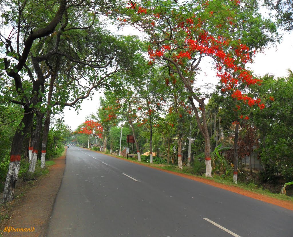 DIAMOND  HARBOUR ROAD (NH 117)