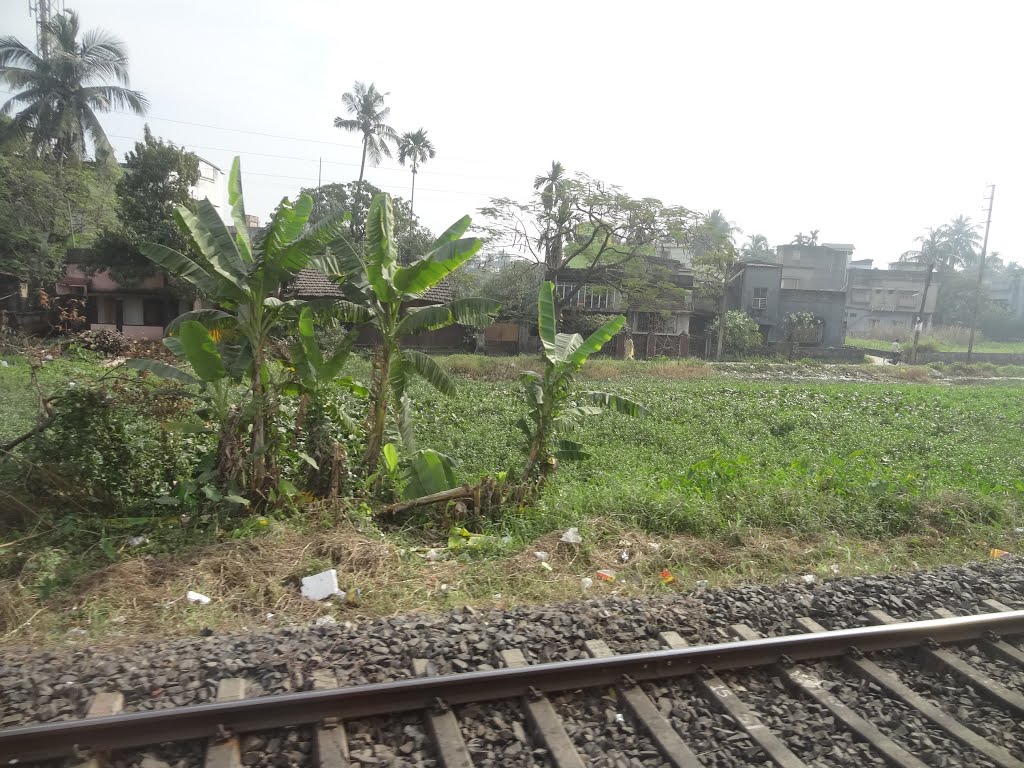 Agarpara, View from Train