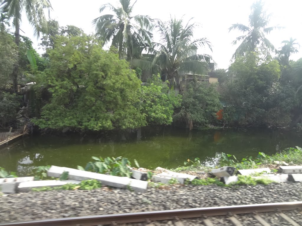 Agarpara to Sodpur