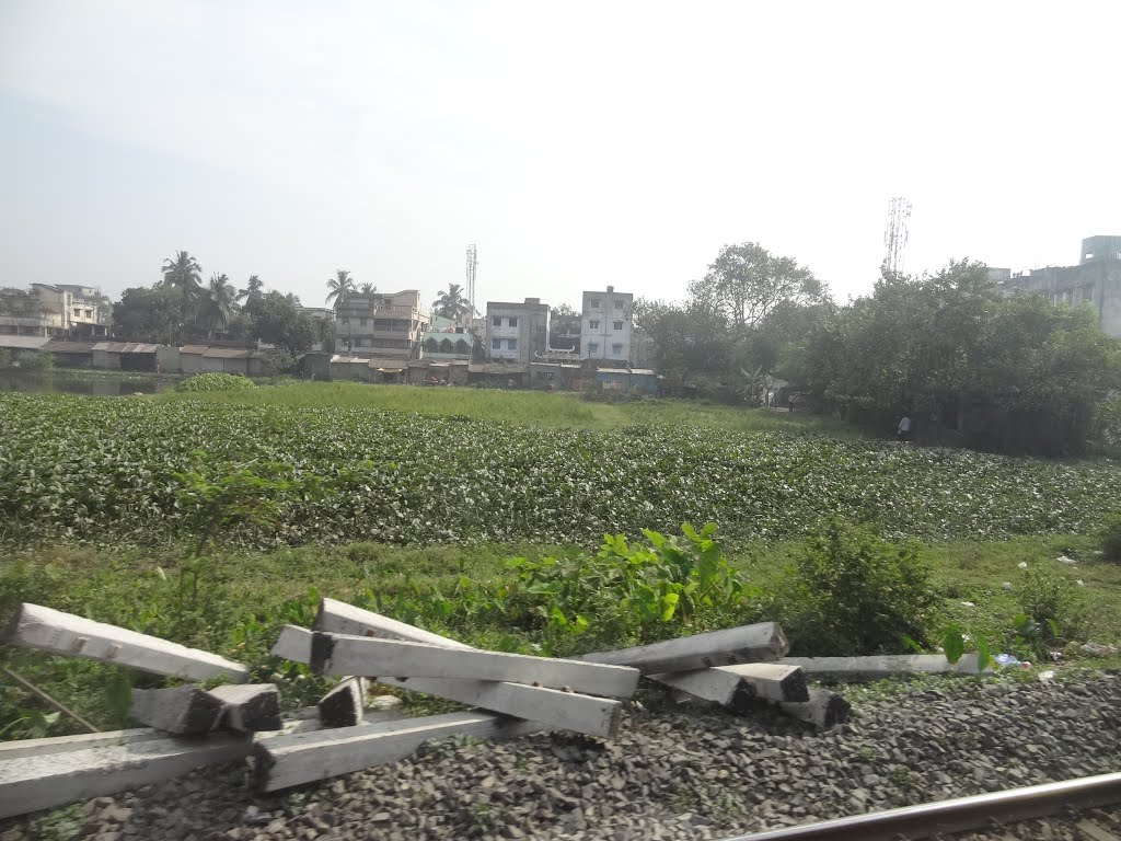 Sodpur, View from Train