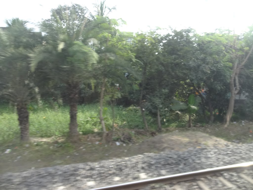 Sodpur to Khardaha
