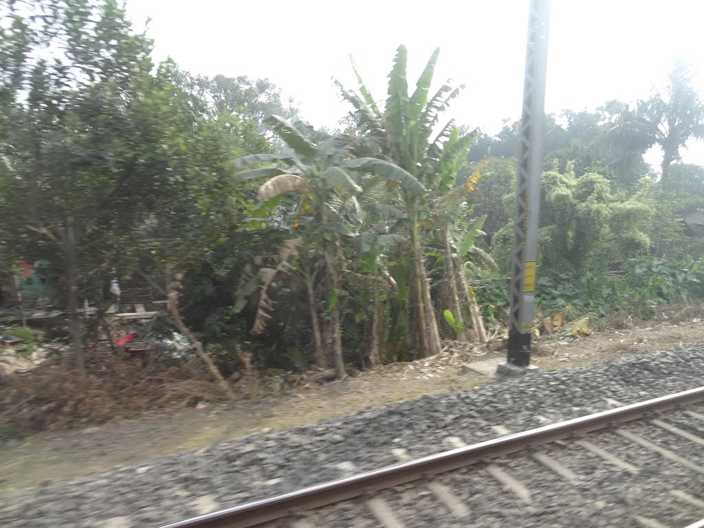 Sodpur to Khardaha