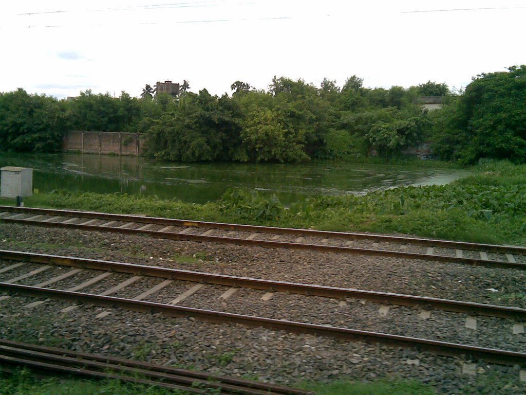 Fishing Pond Besides Sodepur Railway Track