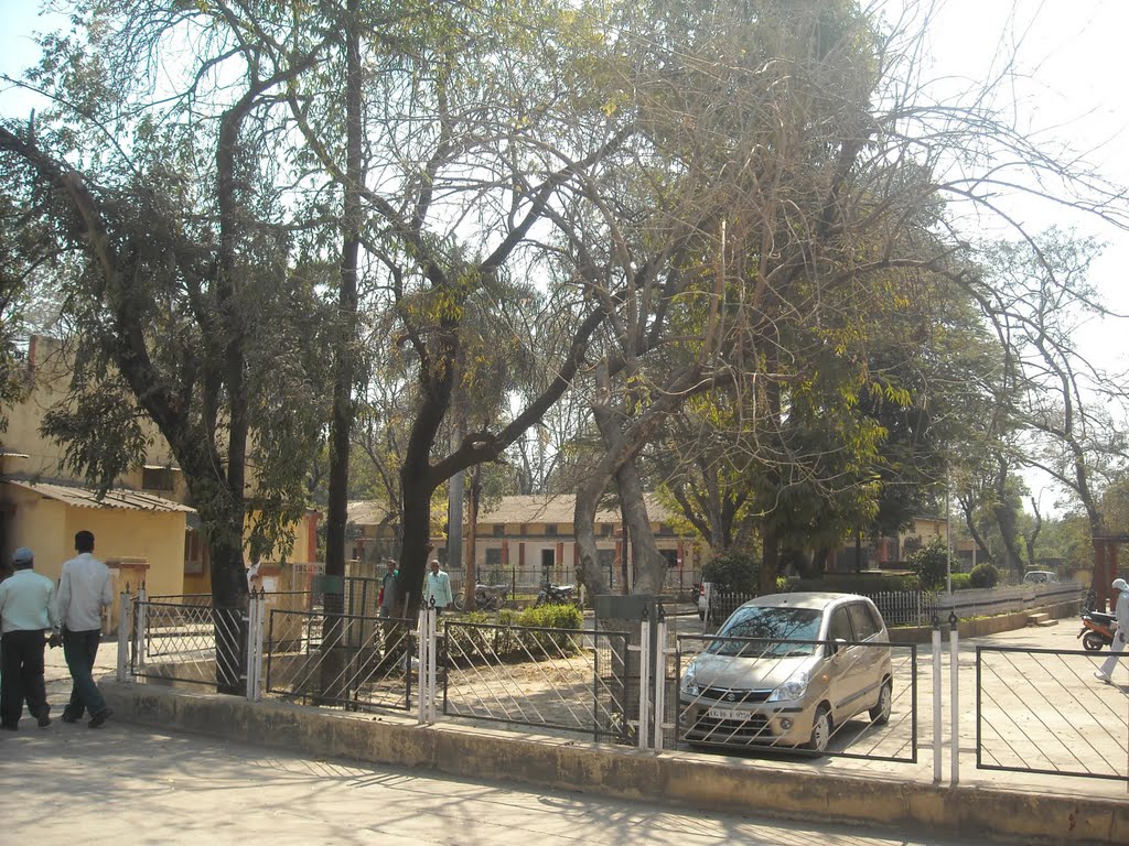 CSEB