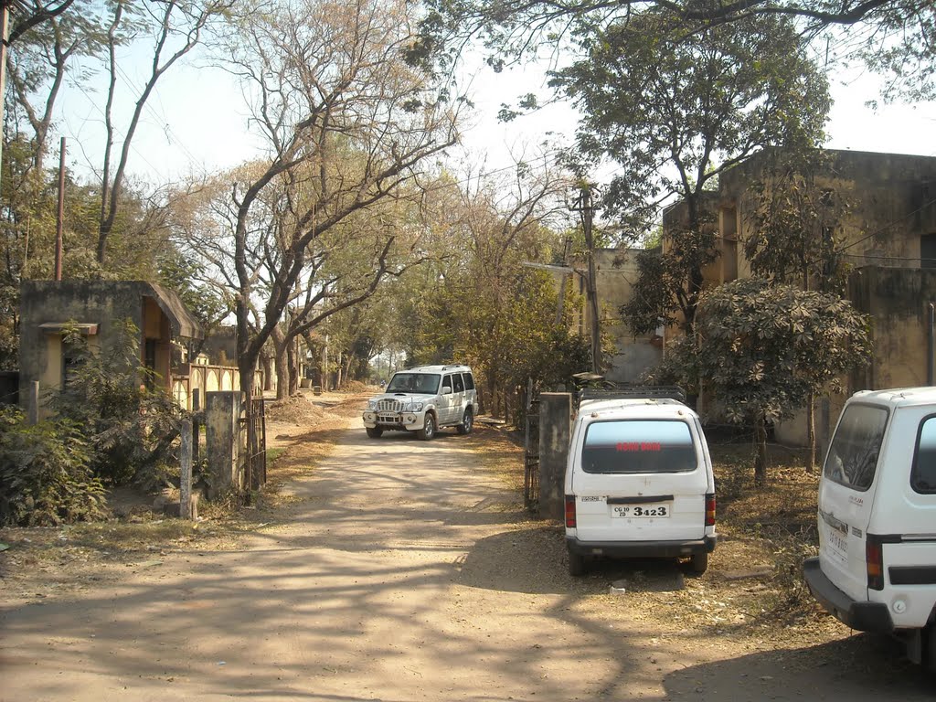 CSEB Colony