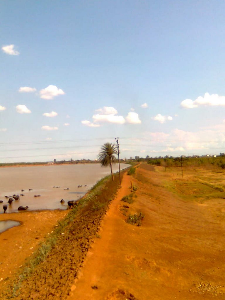Bhilai - From Dalli Rajhara Durg Train