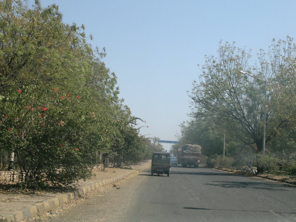 A P M C Yard, Bagalkot, Karnataka, India