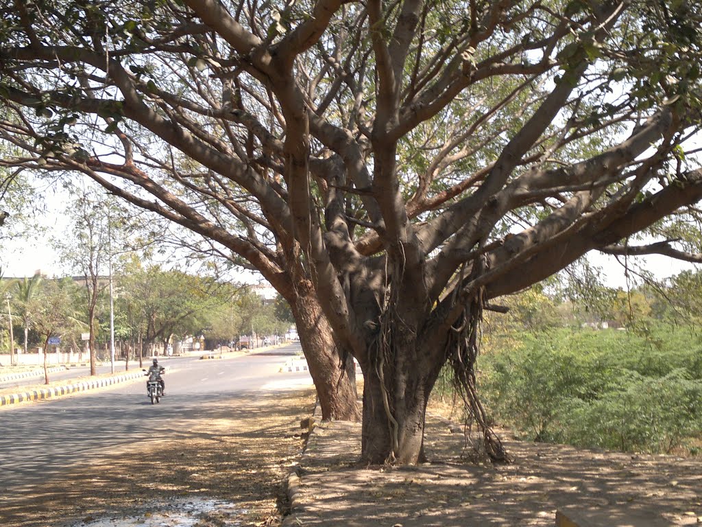Sector 22, Navanagar, Bagalkot, Karnataka, India