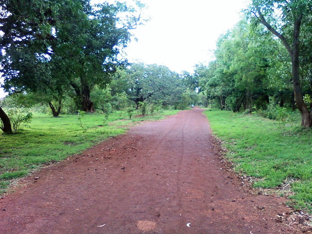 View in the spring बेळगांव