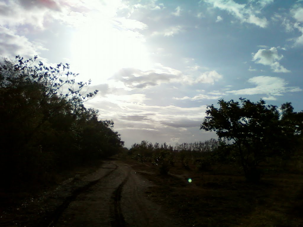 Racecourse track बेळगांव