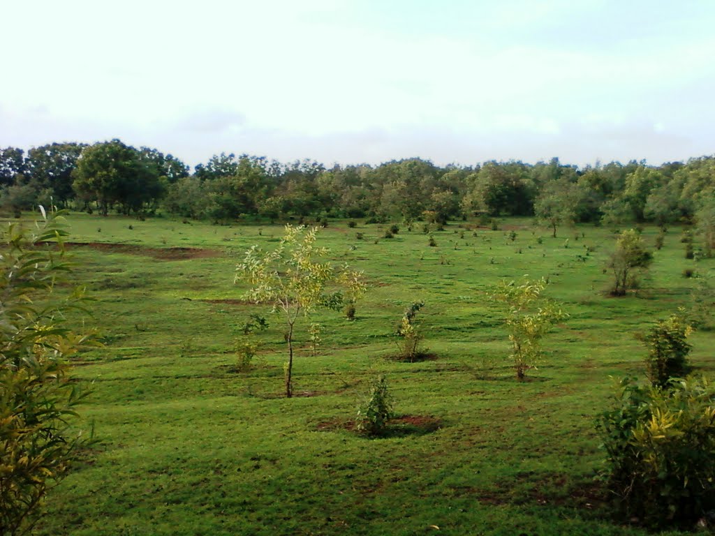 Racecourse Belgaum बेळगांव