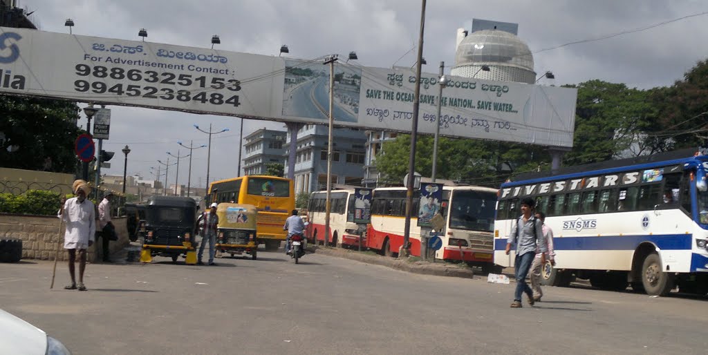Bruce Pet, Bapu Ji Nagar, Cowl Bazaar, Bellary, Karnataka, India