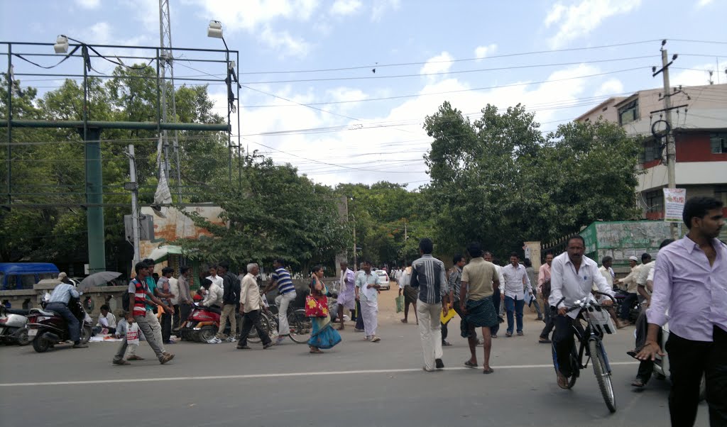 BSNL Colony, Cowl Bazaar, Bellary, Karnataka, India