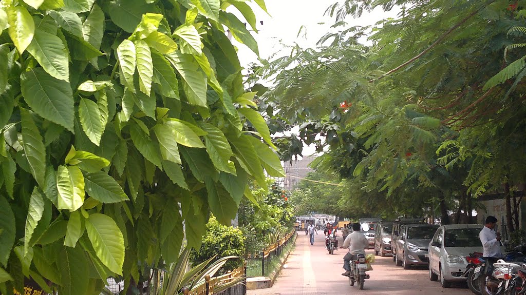 Dr.Rajkumar Udyanavana Road , Bellary, Karnataka, India