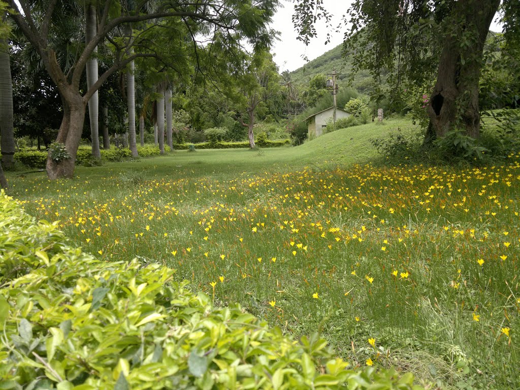 PARK,Thungabhadra Dam Area ,Hospet, Karnataka, India