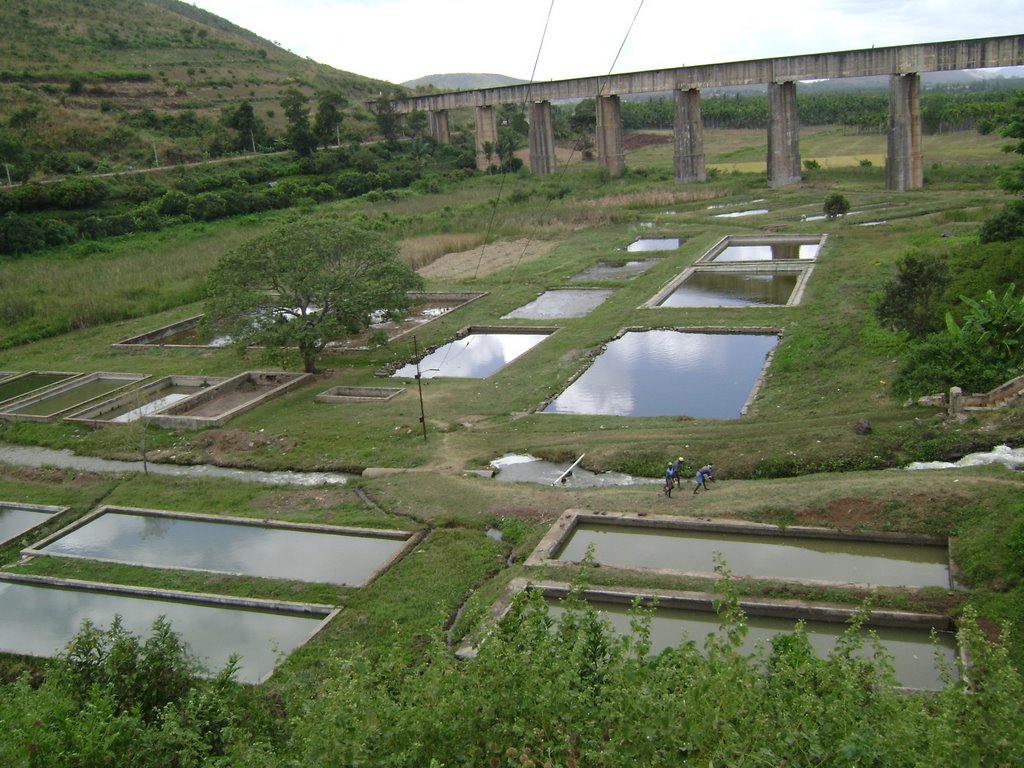 Channagiri