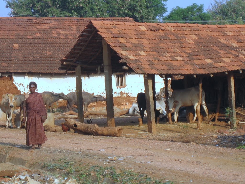 Jagalūr