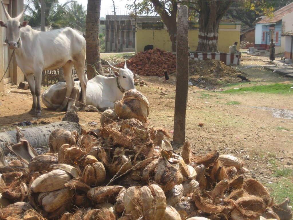 Von Chitradurga nach Hospet